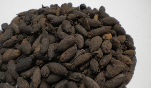 巴西未磨丁香进口报关