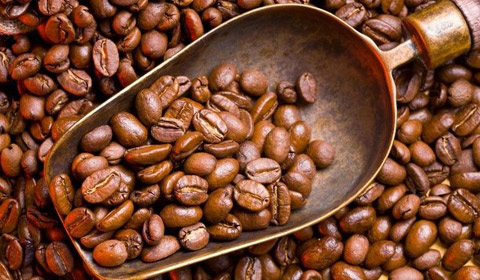 干椰枣进口报关公司