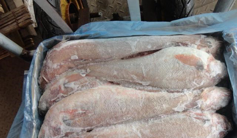 火腿进口清关公司